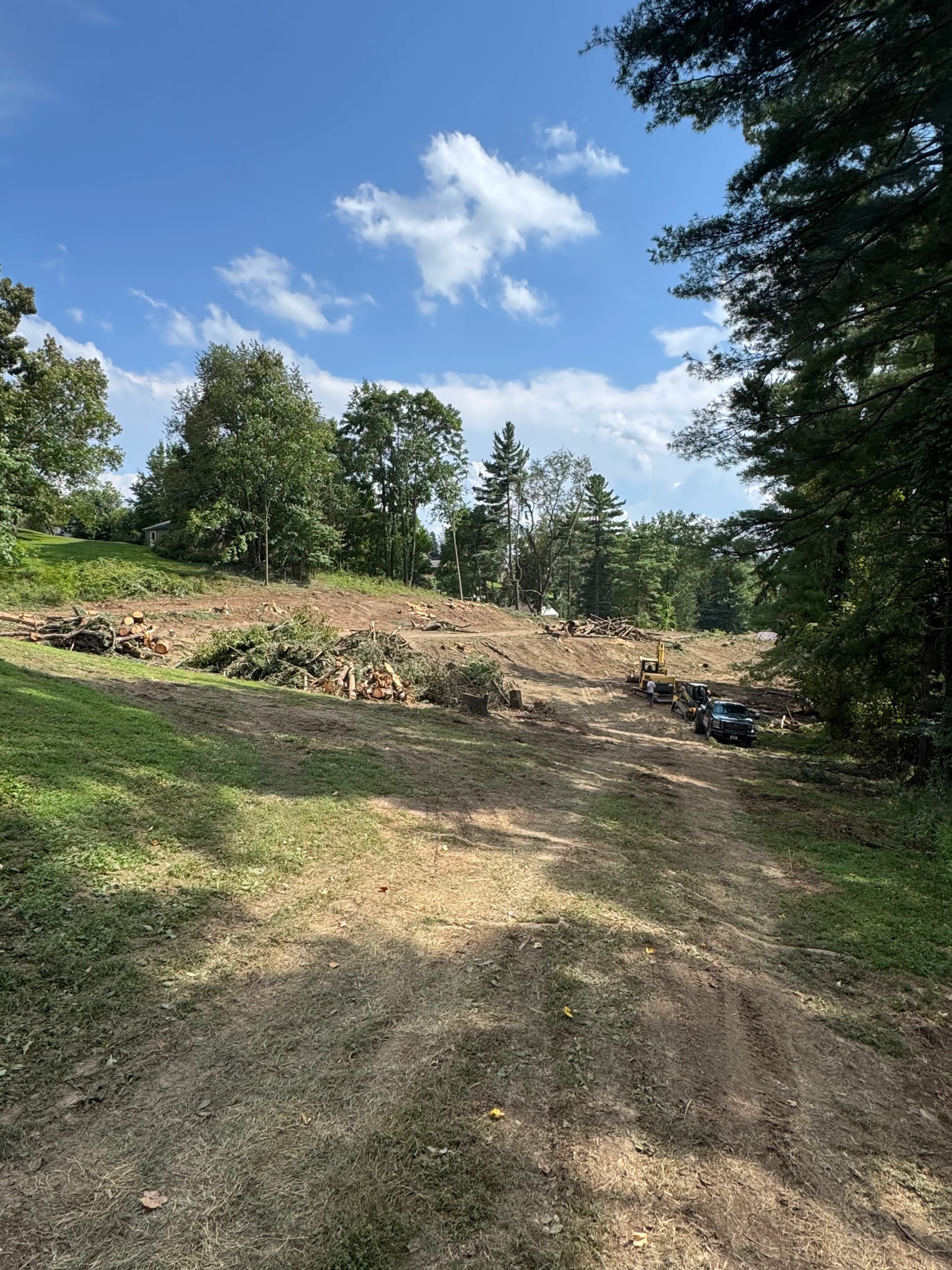 2-Acre Pine Clear Cut Completed in Cambridge Ohio