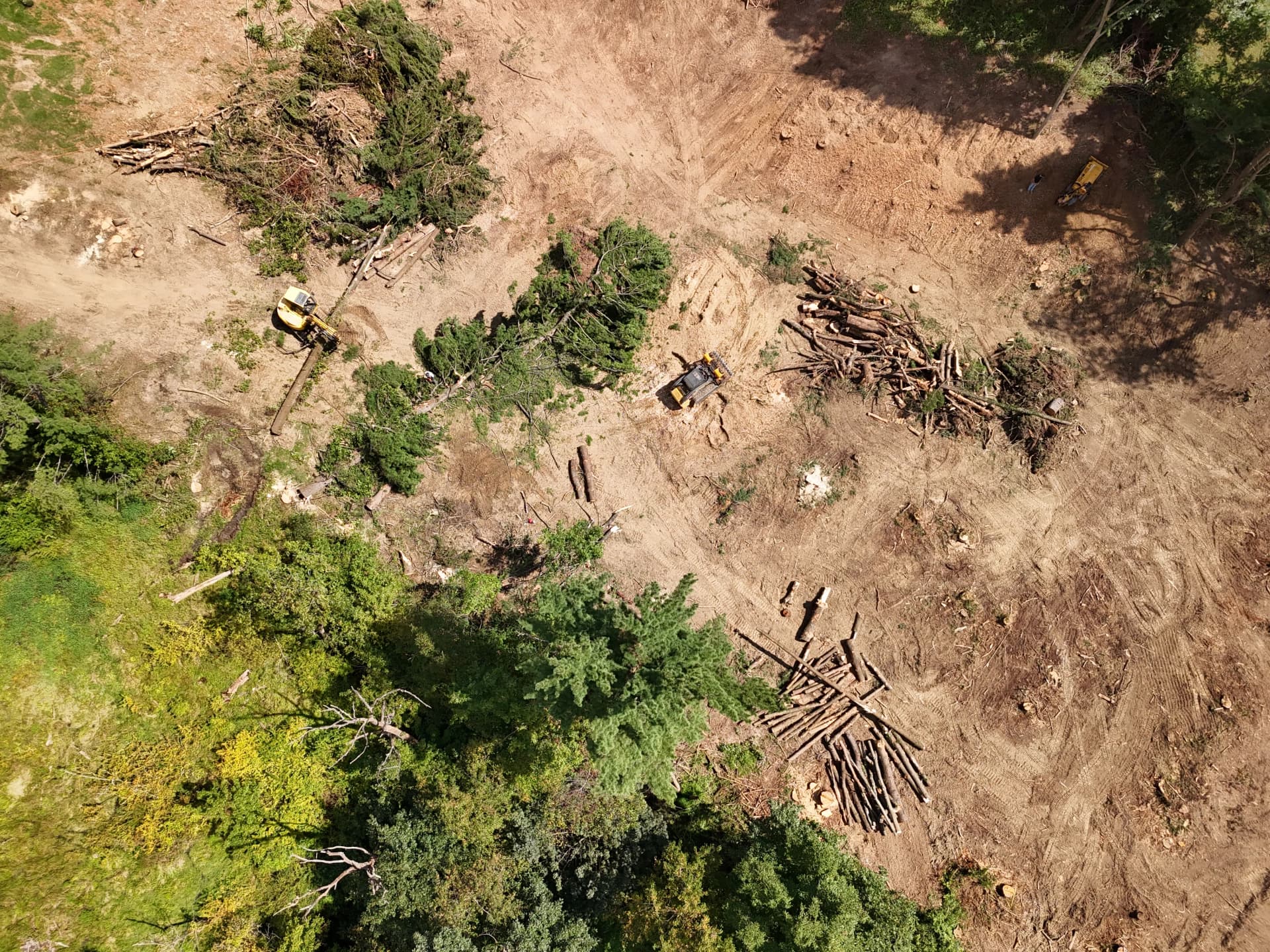 2-Acre Pine Clear Cut Completed in Cambridge Ohio