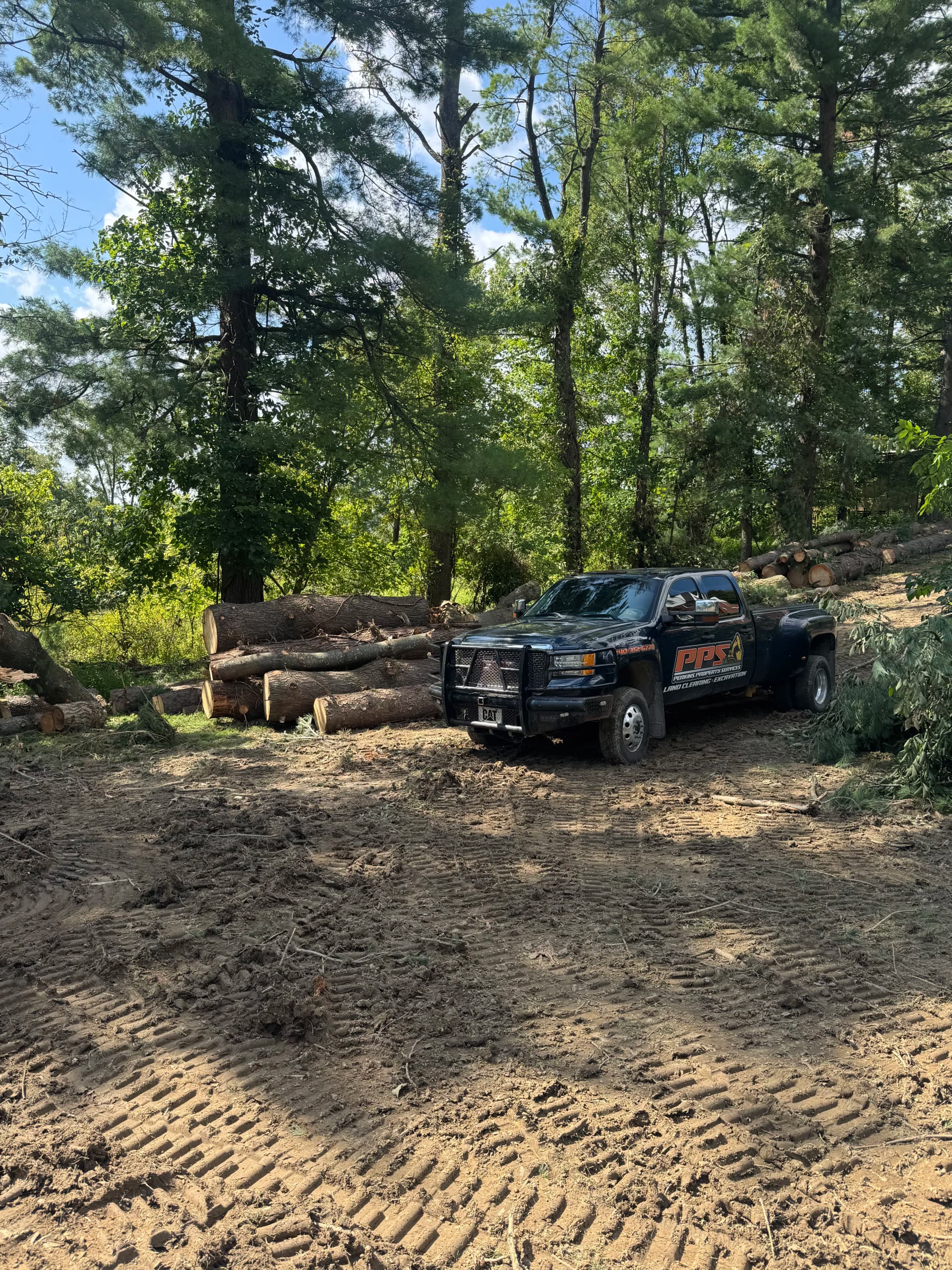 2-Acre Pine Clear Cut Completed in Cambridge Ohio